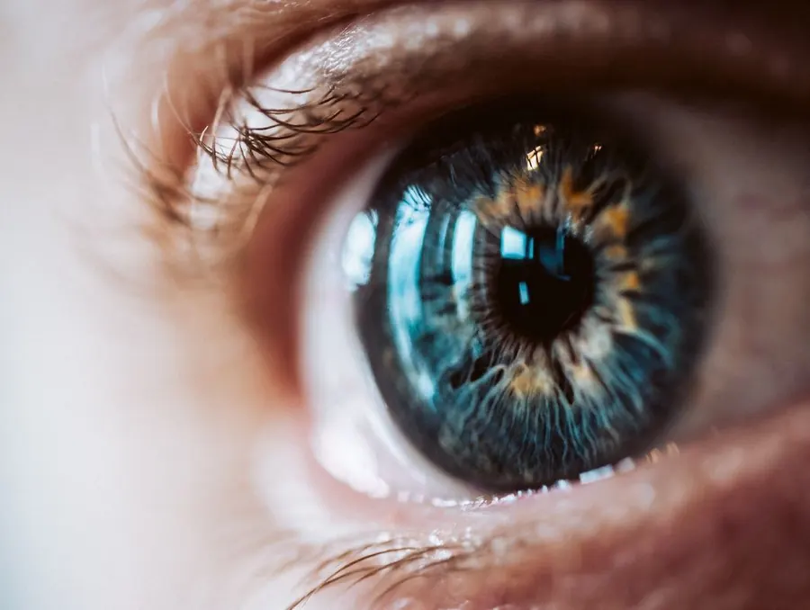 Close-up of a human eye